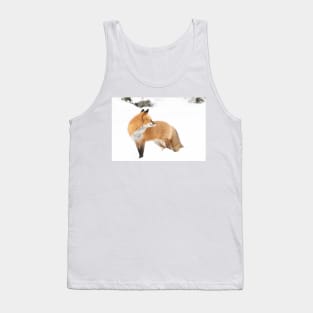 Red Fox - Algonquin Park Tank Top